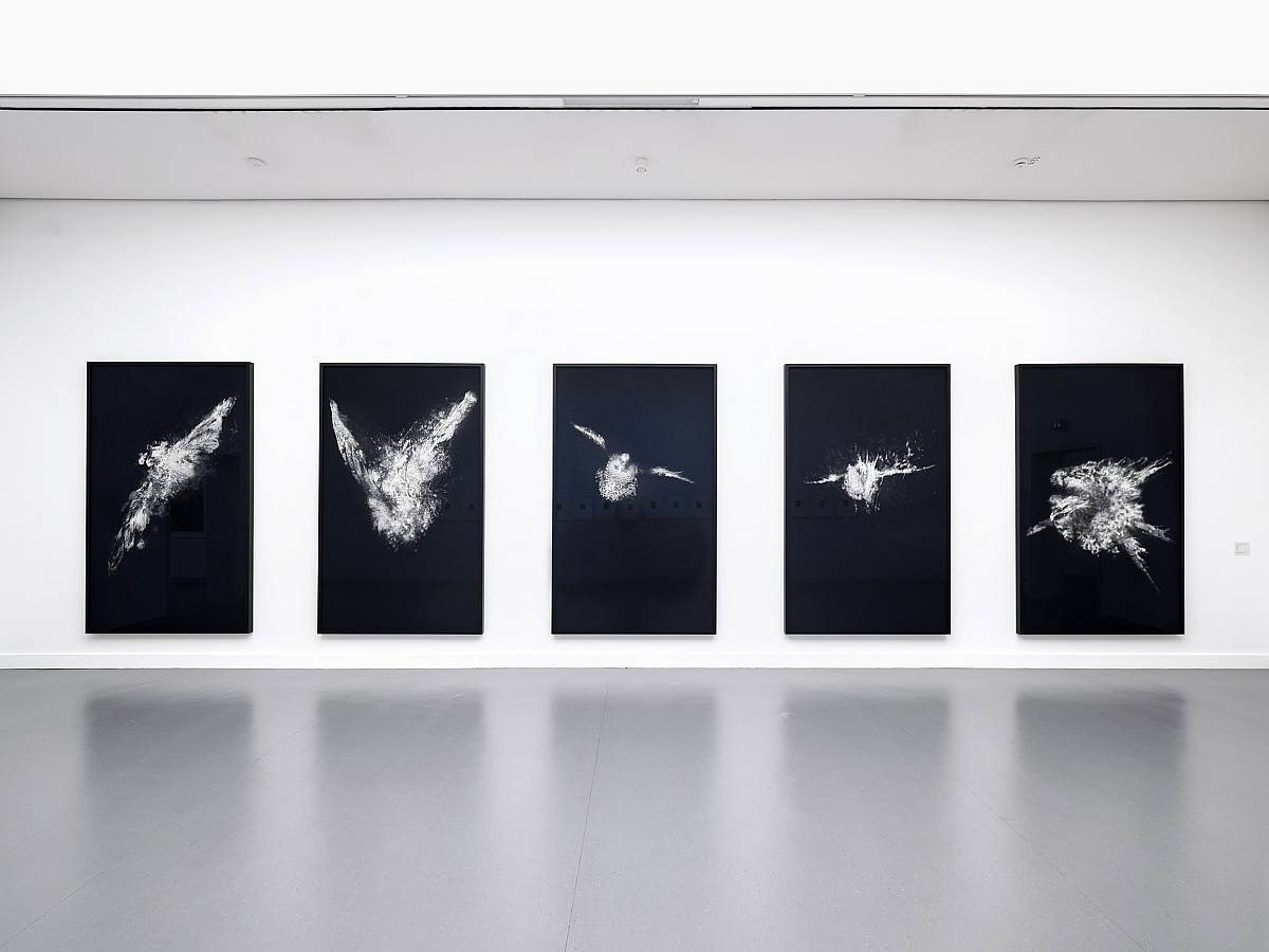 Die Vögel stehen in der Luft und schreien . Birds hang in the air and scream . 