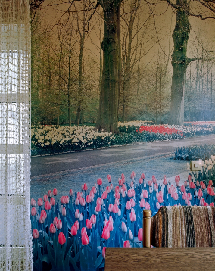 Tulpenpark hinterm Tisch