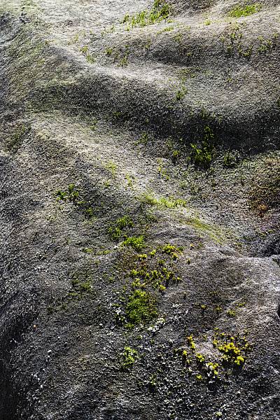 Rhonegletscher . Epiphytische Landschaft . 2024