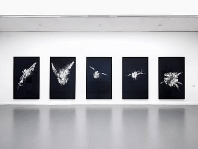 Die Vögel stehen in der Luft und schreien . Birds hang in the air and scream . 